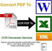  Patel Infosoft - Pdf to doc Conversion Homebased Work